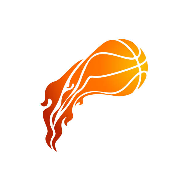 乐鱼全站网页版